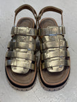 Maruti Gold Gladiator Logan Sandal